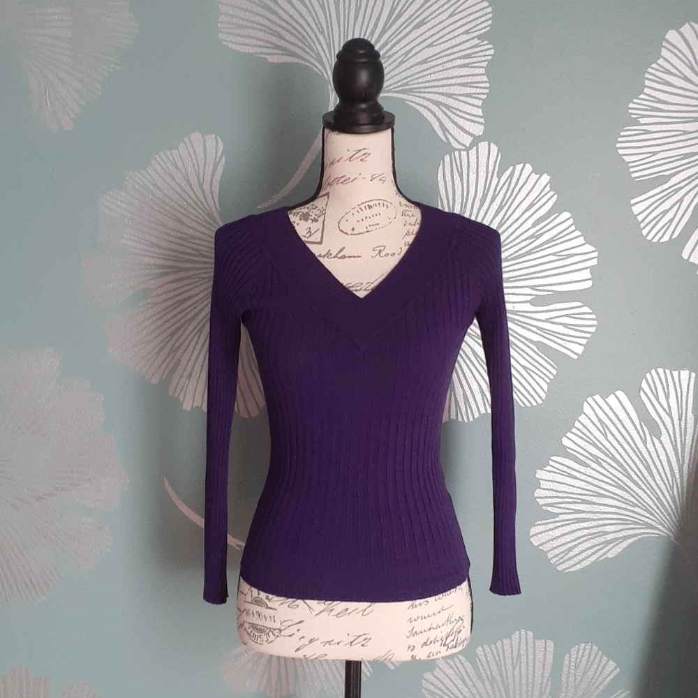 Soft Purple Plum Stretchy Top